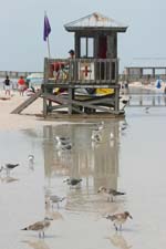 Florida Lifeguard Photo